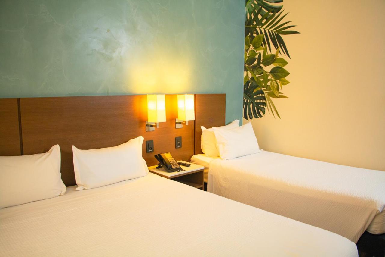 Ibis Styles Curitiba Aeroporto Hotel São José dos Pinhais Kültér fotó